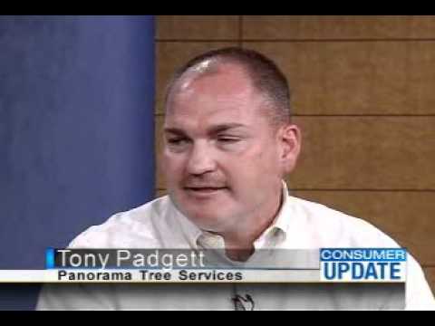 Panorama Tree Care on Consumer Update.wmv