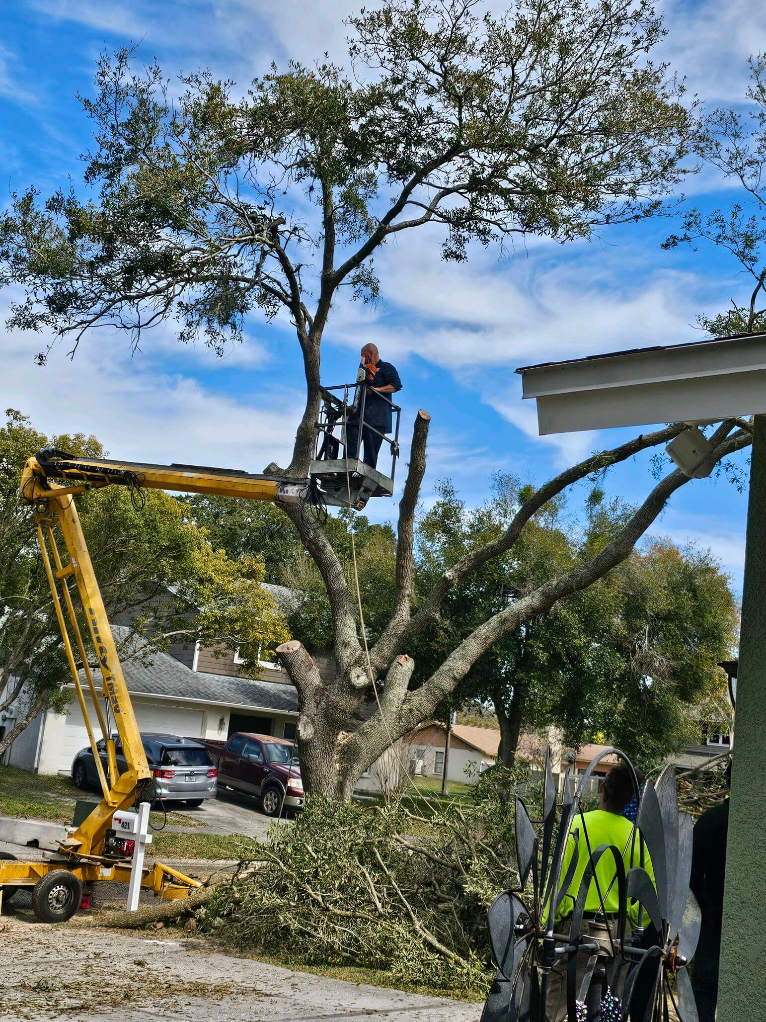 Tree service