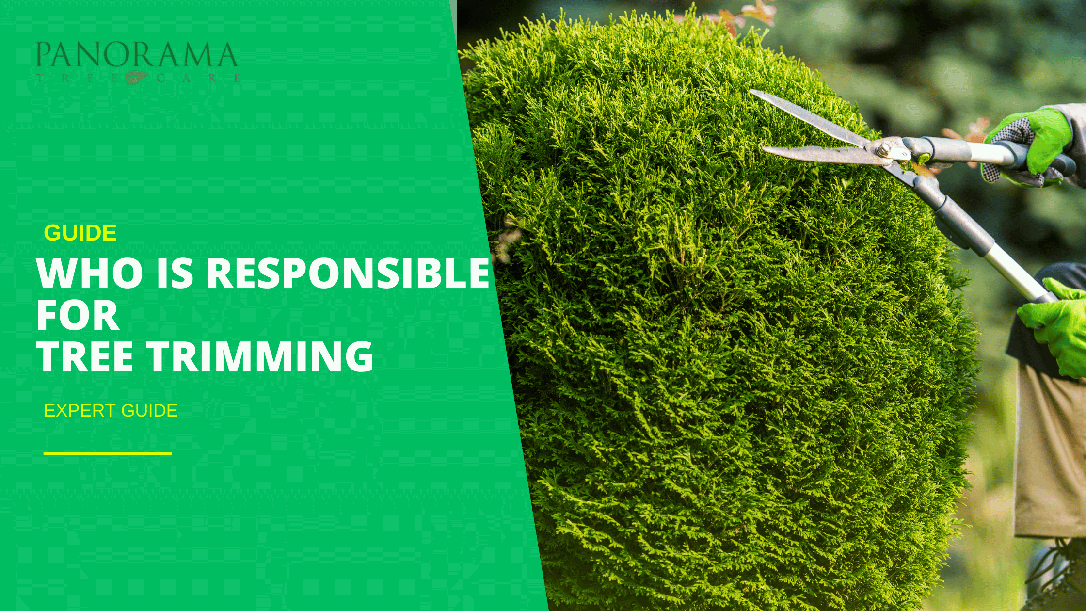 Who is responsible for tree trimming