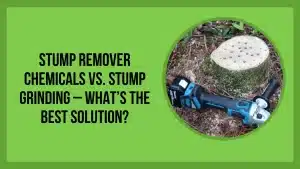 Stump Remover Chemicals vs. Stump Grinding – What’s the Best Solution