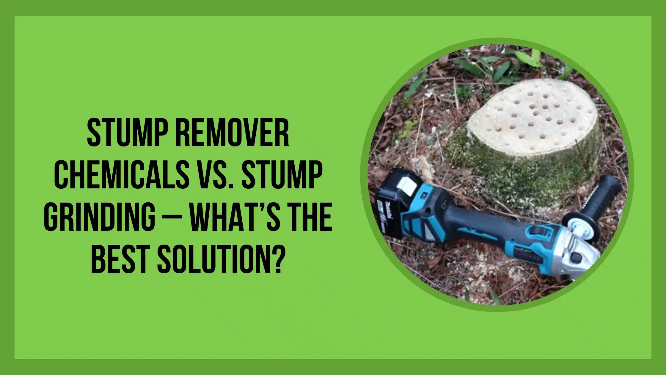 Stump Remover Chemicals vs. Stump Grinding – What’s the Best Solution