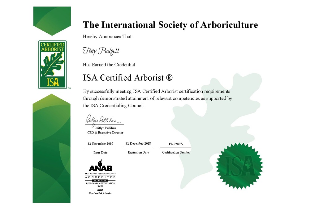 Tony Arborist Certificate