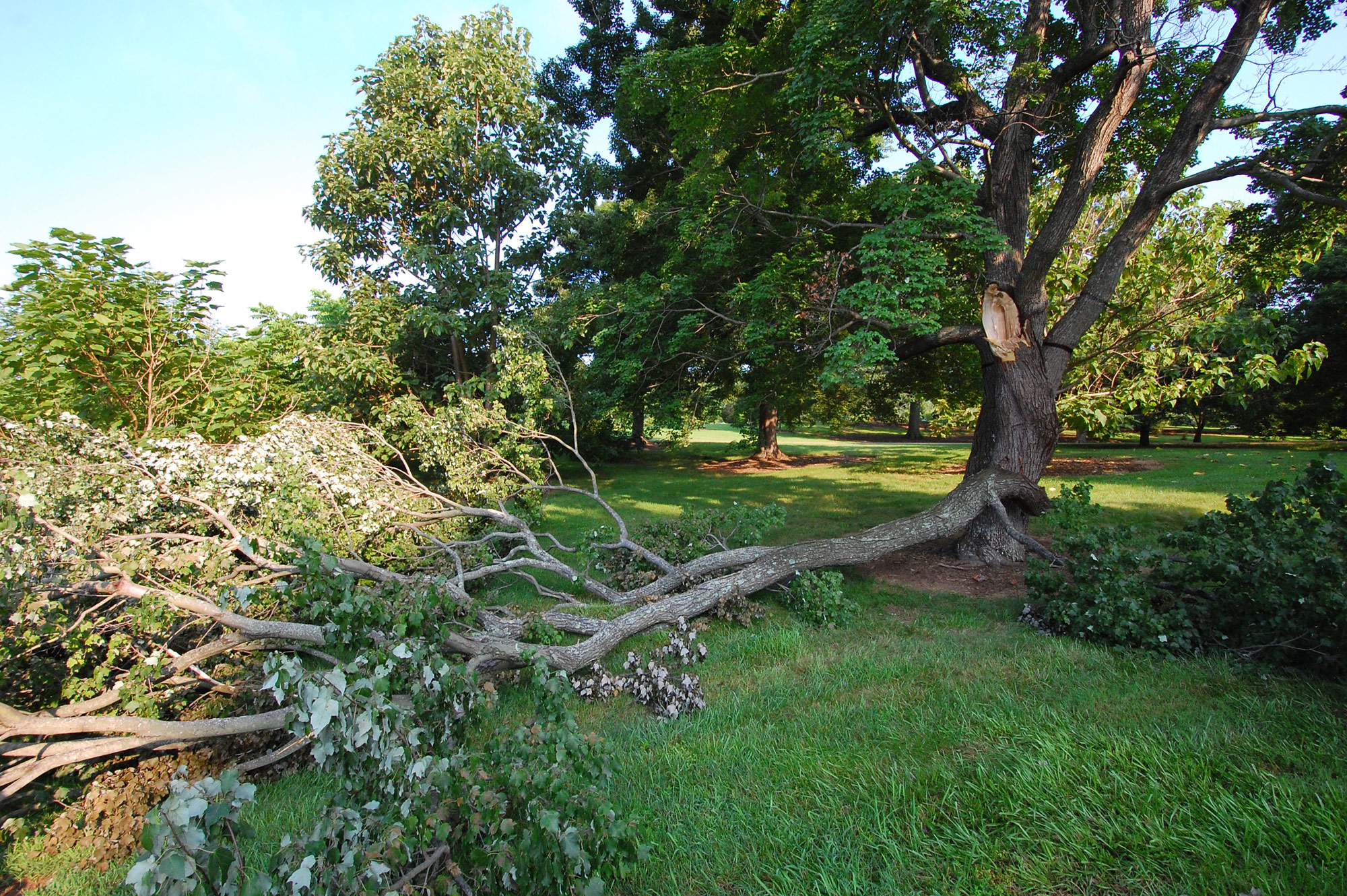 Structural Weakening & Taper Loss