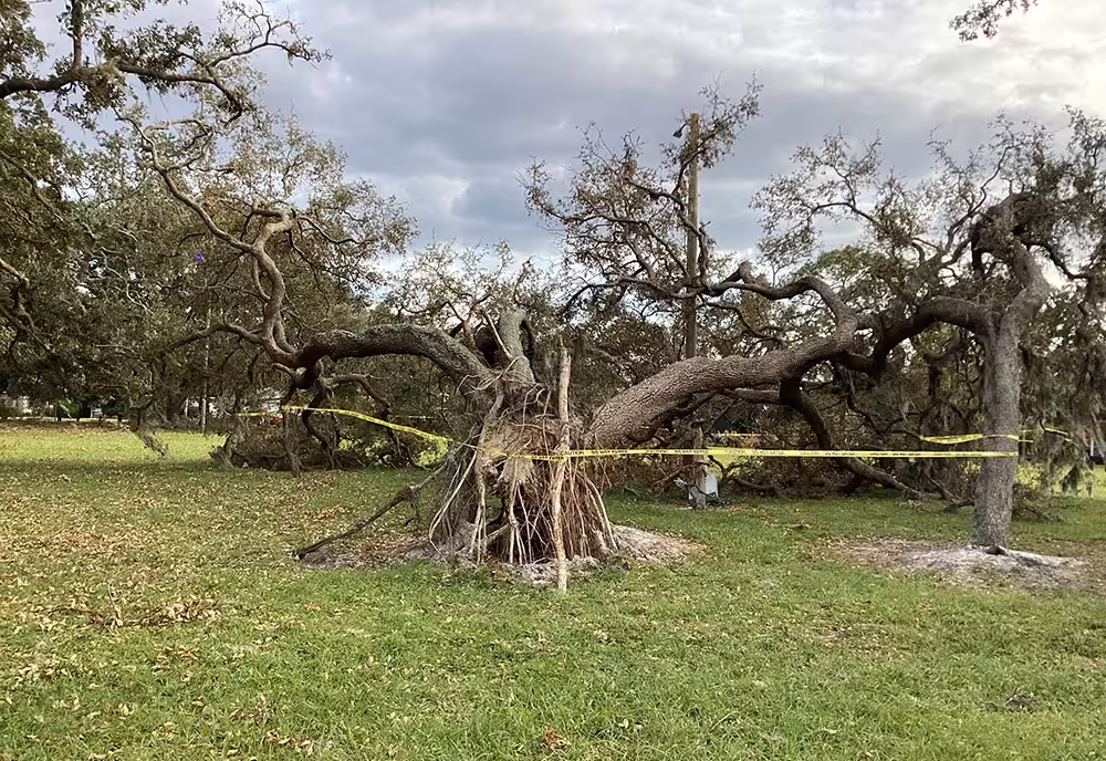 Tampa Hurricane Wind Vulnerability