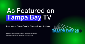 Panorama Featured in ABC Action News (WFTS) and Consumer Update