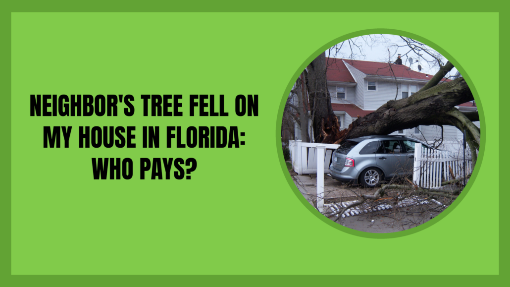 Neighbor's tree fell on my house in Florida: who pays? — storm-toppled tree across a fence and crushed car in front of a home