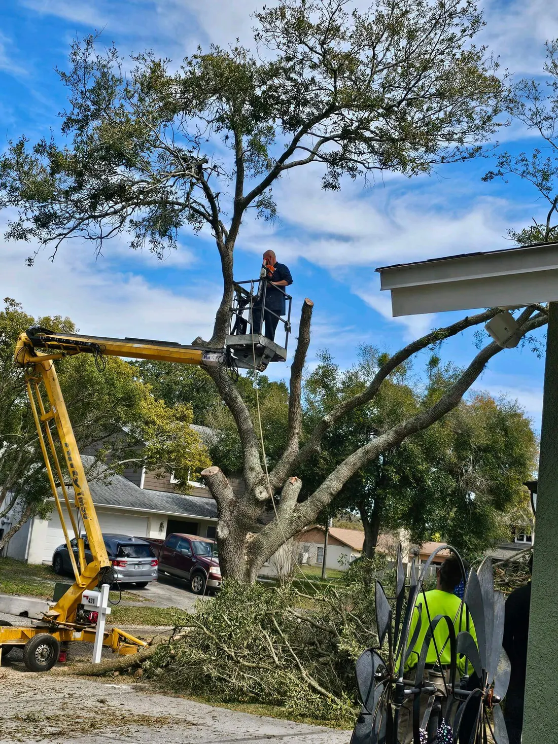 Panorama Tree Service crew serving Brandon, FL