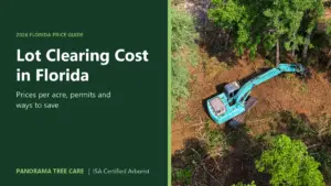 Aerial view of an excavator clearing a wooded lot, with the title "Lot Clearing Cost in Florida"