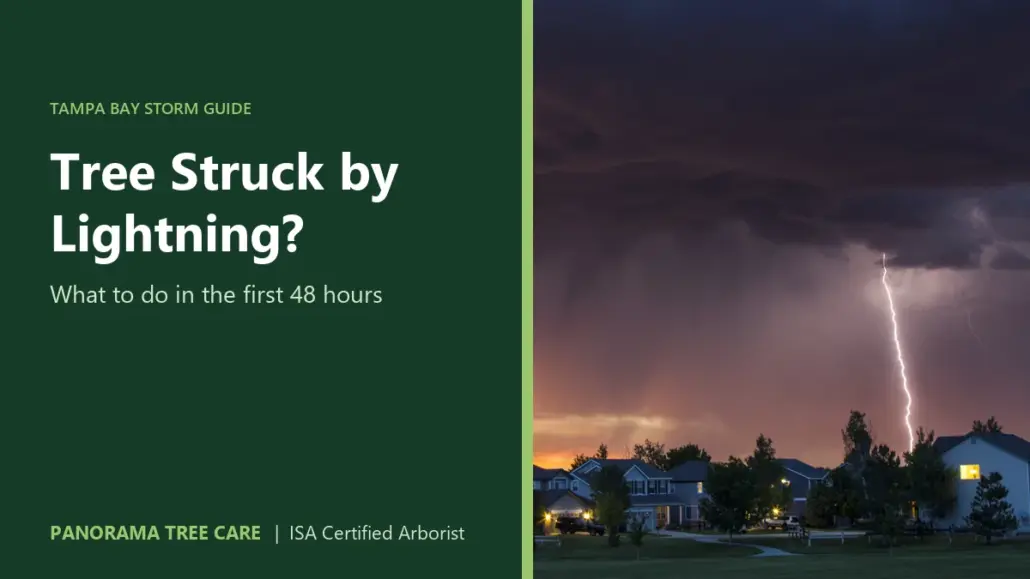 Lightning bolt striking near suburban homes at dusk, with the title "Tree Struck by Lightning?"