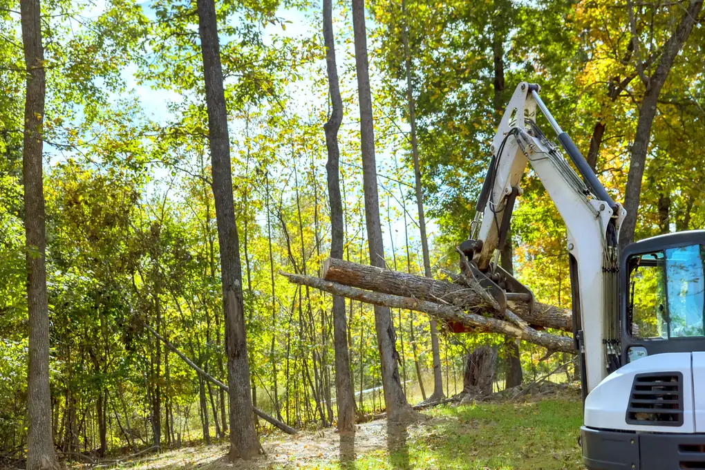 Excavator with a grapple moving logs while clearing trees from a wooded lot