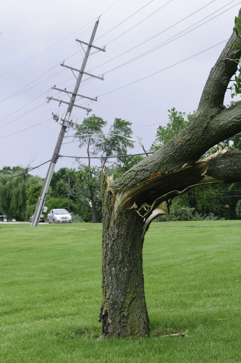 Split tree trunk beside a leaning utility pole with downed power lines