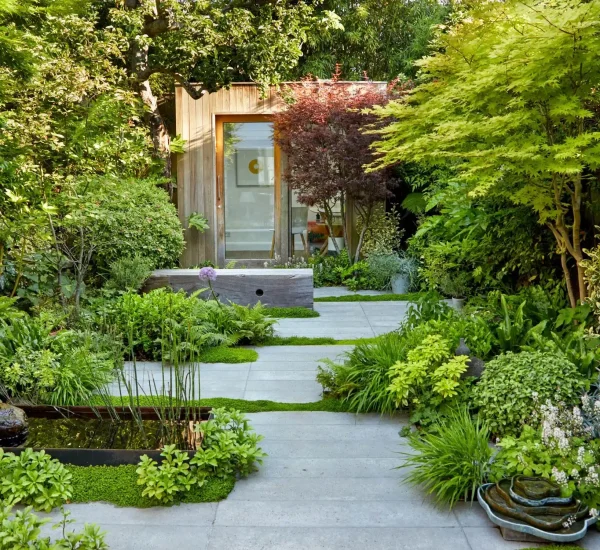 Landscape Design Service in Tampa Bay, FL