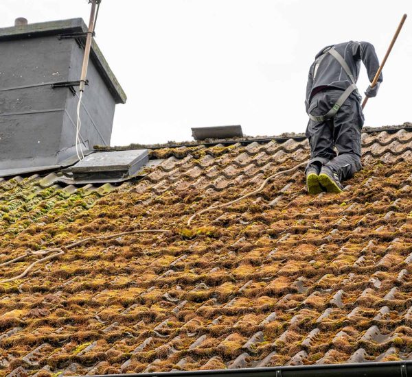 Roof Cleaning Services in Tampa Bay, FL